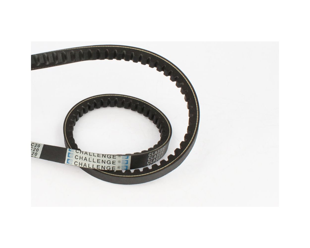 RELL TWO PRONG BELT IN CRINKLE LEATHER – VUJA DÉ